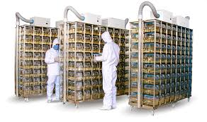 APOSENTADORIA ESPECIAL: ATIVIDADE EM BIOTÉRIO