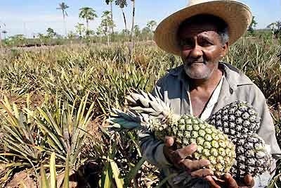 APOSENTADORIA POR IDADE NA MODALIDADE HÍBRIDA