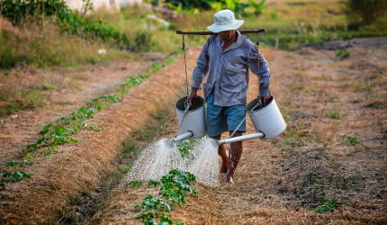 APOSENTADORIA RURAL POR IDADE: COMPROVAÇÃO DO EXERCÍCIO DO LABOR RURAL PELO PERÍODO DE CARÊNCIA E EXTENSÃO DE PROVA MATERIAL DO CÔNJUGE FALECIDO À ESPOSA.