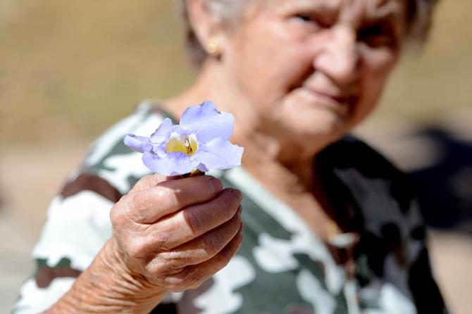 Brasileiros estão se aposentando mais tarde, mas governo quer mais