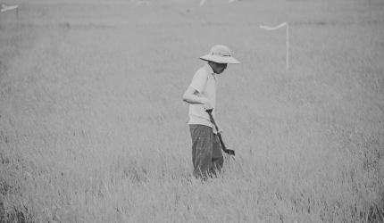 Certidão de Reservista Pode Comprovar Atividade Rural? Veja Quais Documentos São Aceitos!