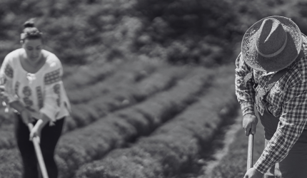 O que é regime de economia familiar?