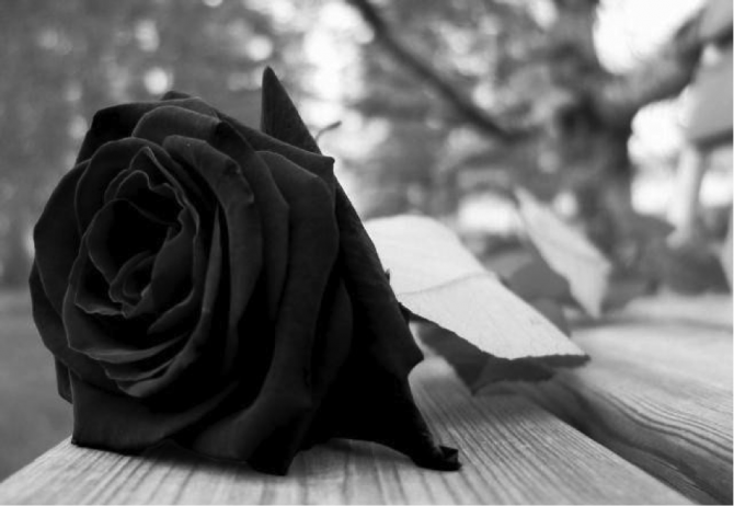 PENSÃO POR MORTE À COMPANHEIRA DO FALECIDO E EXCLUSÃO DA ESPOSA