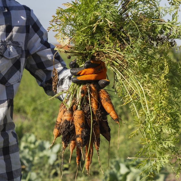 PENSÃO POR MORTE À COMPANHEIRO DE TRABALHADORA RURAL