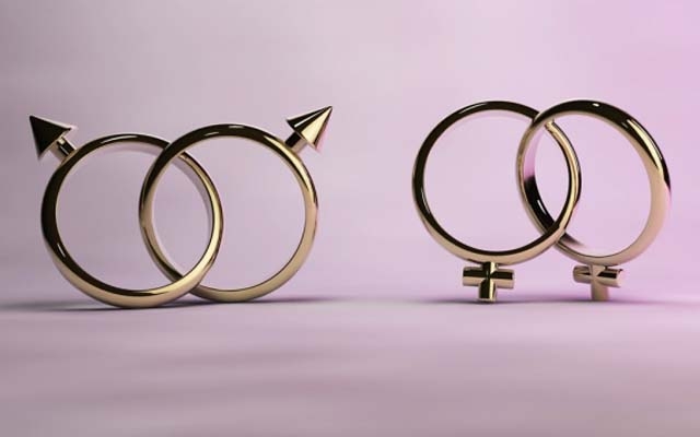 PENSÃO POR MORTE: UNIÃO HOMOAFETIVA