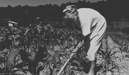 Período de trabalho rural pode antecipar e até aumentar o valor da aposentadoria