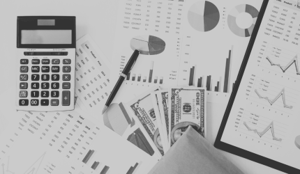 Revisão Fiscal: Pente Fino no Orçamento Público