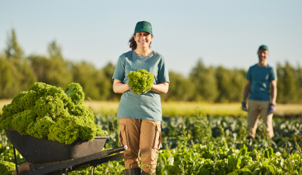 TRABALHO URBANO DO CÔNJUGE NÃO AFASTA TRABALHO RURAL DA COMPANHEIRO E CONCESSÃO DA APOSENTADORIA POR IDADE RURAL