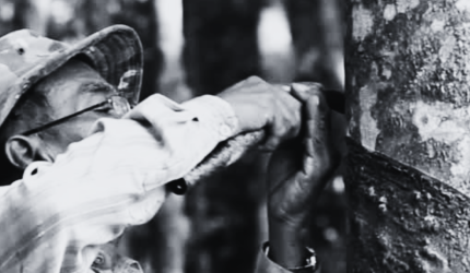 Você sabia? Algumas categorias especiais têm direito a pensão vitalícia do governo